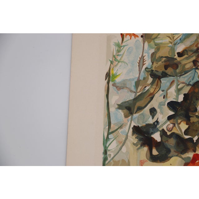 Red Salvador Dali, Heaven Canto 26 (The Divine Comedy) 1950, Paper Woodcut Print For Sale - Image 8 of 12