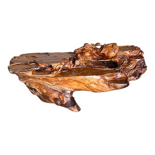 20th Century Lacquered Root Buddha Shrine . Drilled to Work as a Fountain For Sale