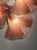Modern Pair of Pink Murano Glass and Brass Fan Sconces For Sale - Image 3 of 5