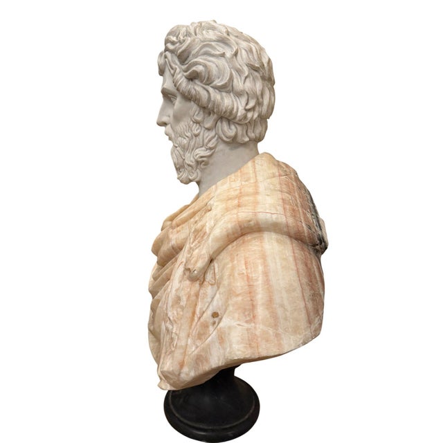 Italian Bust of Roman Emperor Septimius Severus on Black Marble Base. Italy 20th Century For Sale - Image 3 of 10