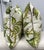 Schumacher Celerie Kemble for Schumacher Hothouse Flowers Pillows, Pair For Sale - Image 4 of 12