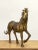 1960s Brass Horse by Artis Luciano Bustamante For Sale - Image 5 of 11