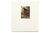 1970s Handmade Houses, a Guide to the Woodbutcher's Art For Sale - Image 5 of 5
