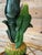 Sculptural Parrot Table Lamps With New Linen Shades - a Pair For Sale - Image 4 of 12