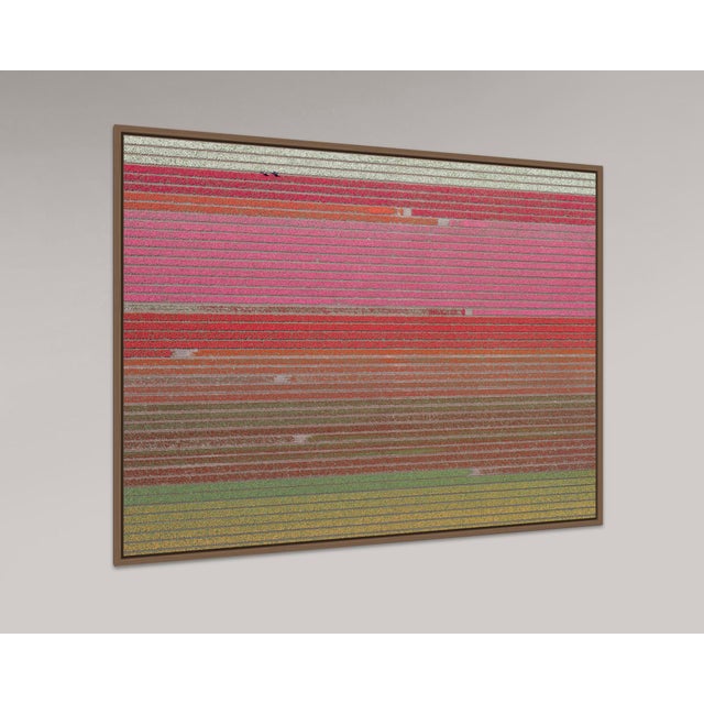 AV_Tulip_Fields_035" Contemporary Aerial View Limited Edition Photograph by Bernhard Lang For Sale - Image 4 of 10