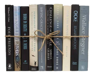 Decorative Books - Overcast Book Bundle - 1 Foot of Blue Books