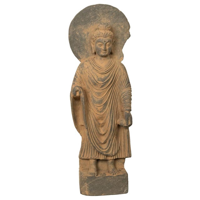 Ancient Indian Carved Stone Gandharan Shakyamuni Buddha Statue 2nd Century a.d. For Sale - Image 9 of 12