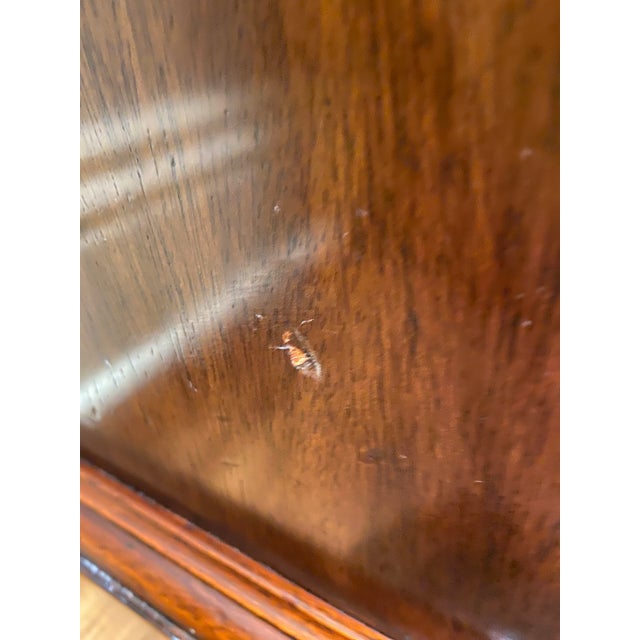 George III Style Mahogany Breakfront Cabinet For Sale - Image 10 of 10