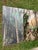 2020s Old Florida; Highlands Hammock State Park, Sebring Florida Photo Print. Cypress Swamp Boardwalk, Four by Three Feet in Plastic For Sale - Image 5 of 12