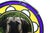Metal Art Deco Stained Glass Roundel Depicting with English Mastiff Dog, 1890s For Sale - Image 7 of 11