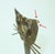 Jarc French Brutalist Metal Cat Sculpture, 1970's For Sale - Image 13 of 14