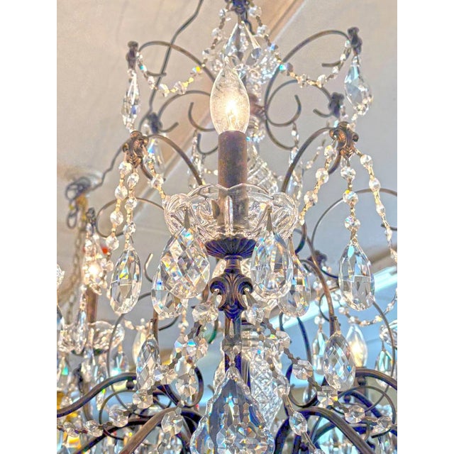 Schonbek 17124-76 Century 12 Light Black Frame Crystal Chandelier For Sale - Image 9 of 10
