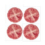 Radicchio Dinner Plates , Set of 4 For Sale