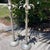 Metal Hollywood Regency Palm Tree Table Lamps Silver Gilt Tole, a Pair For Sale - Image 7 of 12