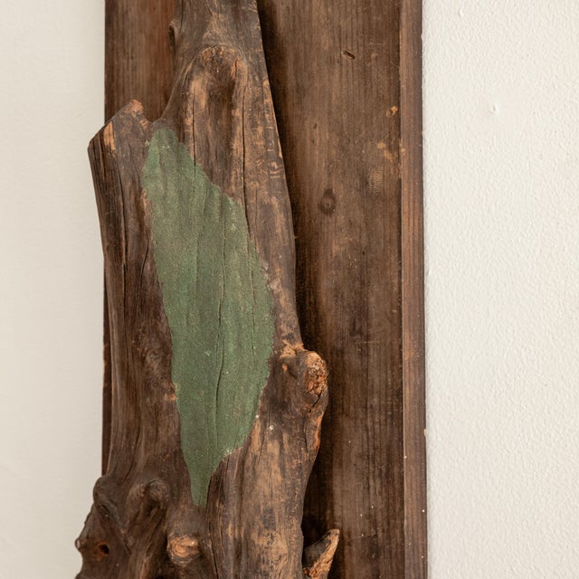 Brutalist Late 20th Century Sculptural Taxidermy Mount For Sale - Image 3 of 6