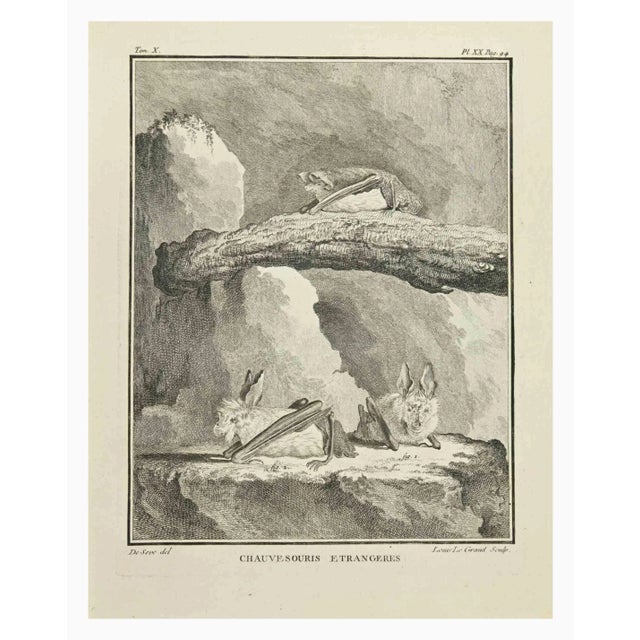 Bauvers is an etching realized in 1771 by Louis Legrand (1723-1807). Titled and signed on the flat. The Artwork Belongs to...