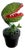 Classic Movie Memorabilia Animated Audrey Plant For Sale