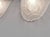 Hettier Vincent & Hanots French Art Deco Floral Frosted Glass Wall Sconces 1930s - Set of 4 For Sale - Image 9 of 13