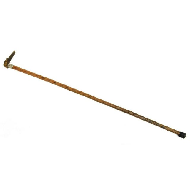 Early 20th Century Hand Carved Italian Greyhound Walking Cane For Sale - Image 11 of 11