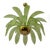 Mid-Century Modern Murano Glass and Brass Palm Leaves Chandelier from Maestri Muranesi, 2000, Set of 2 For Sale - Image 6 of 10