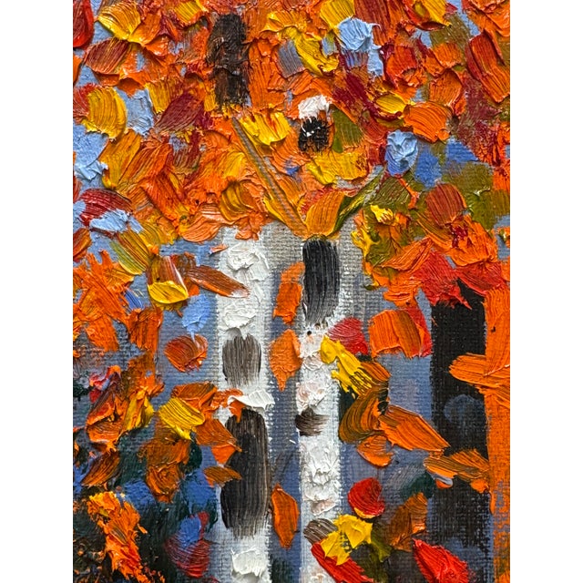 White Birch of Autumn For Sale - Image 4 of 6