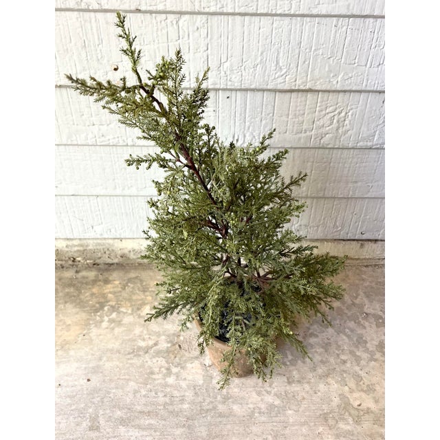 Pottery Barn Pottery Barn Faux Artificial Cedar Cypress Evergreen Potted Plant Tree For Sale - Image 4 of 7