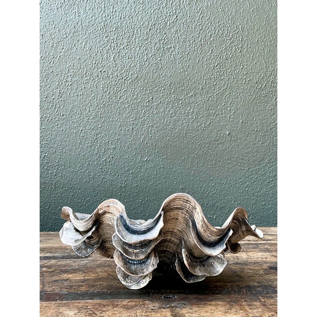 Metal Vintage Metal Dipped Ruffle Clam Shell For Sale - Image 7 of 12