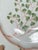 Antique Maidenhair Fern Nymphenburg Porcelain Dinnerware, Hand Painted For Sale - Image 13 of 14