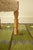 1950s Scandinavian Modern Sheepskin Stool For Sale - Image 10 of 10