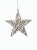 Create a winter wonderland with this textured nickel star ornament. This hanging ornament is perfect for decorating your...
