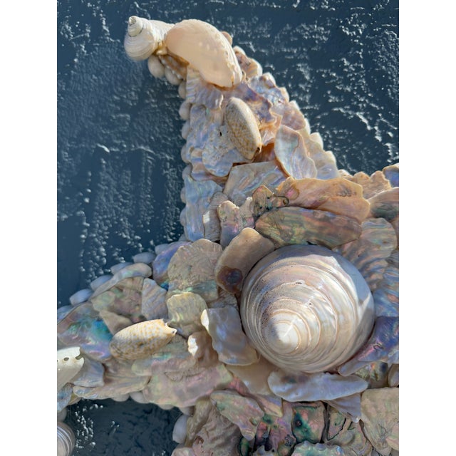 Christa's South Seashells CSS Seashell Dancing Starfish For Sale - Image 4 of 6