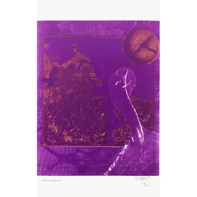 1990s "Terra in Cognita #4" Abstract Numbered Lithograph by Rebecca Baird For Sale