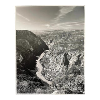 Vintage Americana Black and White Photograph of California Landscape For Sale