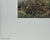 Once We Were Many Lee Cable Limited Edition S/N Wild Buffalo Fine Art Print W/Coa For Sale - Image 6 of 9