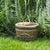 Neoclassical Cast Stone Neoclassical 1990s Fleur-De-Lis Garden Pot For Sale - Image 3 of 9