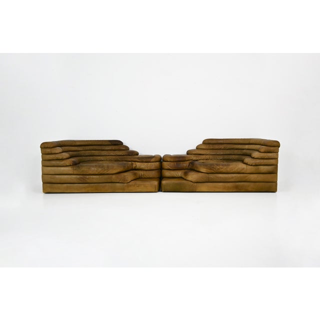 DS-1025 Terrazza Sofa by Ubald Klug for de Sede, 1970s, Set of 2 For Sale - Image 13 of 13