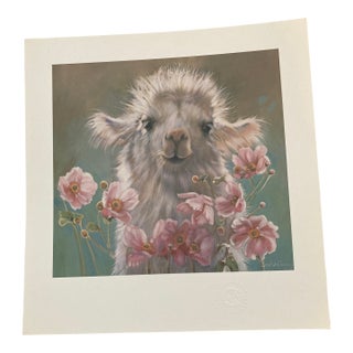 1980s Nancy Noel Print of Baby Llama. For Sale