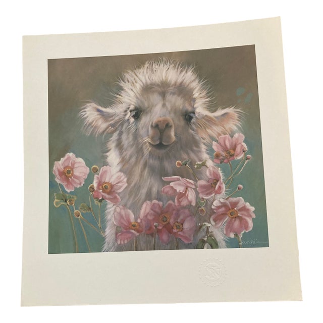 1980s Nancy Noel Print of Baby Llama. For Sale