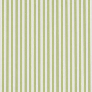 SAMPLE - Schumacher Emma Stripe Narrow Wallpaper In Leaf For Sale