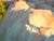 Narrow Range by Judd Mercer | Oil on panel Rocky landscape with trees and distant hills. For Sale - Image 4 of 5