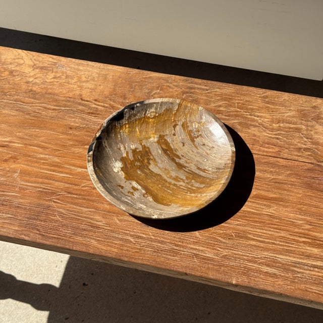 Brutalist Trinket Tray in Petrified Orange-Grey Wood, 1980s For Sale - Image 3 of 8