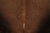 Contemporary Rug & Kilim’s Contemporary Cowhide Rug in Ombre Brown & Black Tones For Sale - Image 3 of 9