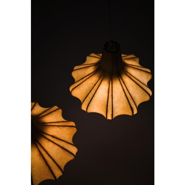 1950s Ceiling Lamp in Plastic and Teak, 1950s For Sale - Image 5 of 8