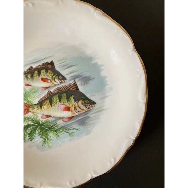 Vintage French Porcelain Fish Plates- Set of 2 For Sale In New York - Image 6 of 12