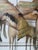 Mid-Century Modern The Journey by Curtis Jere For Sale - Image 3 of 9