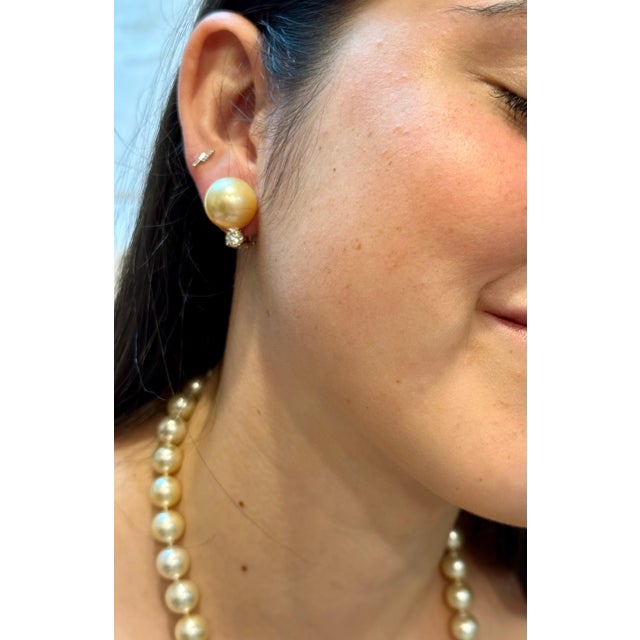 15 mm Round Golden South Sea Pearl & 1 Ct Diamond Cocktail Stud Earrings 14 KG For Sale - Image 14 of 18