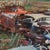 This artwork depicts a vibrant scene of abandoned cars and rusting machinery, overrun by nature. The use of soft pastels...