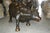Traditional Wall Street Bull Bronze Statue For Sale - Image 3 of 4