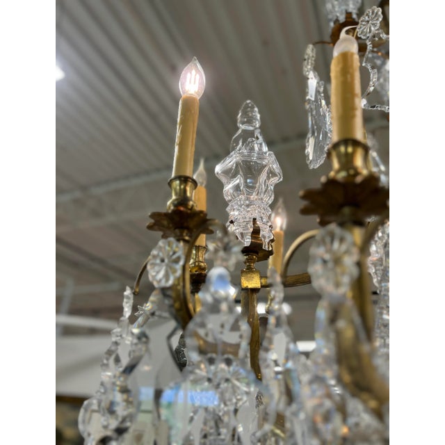 Palatial 19th Century French Louis XV Style Gilt Bronze and Crystal 16 ...