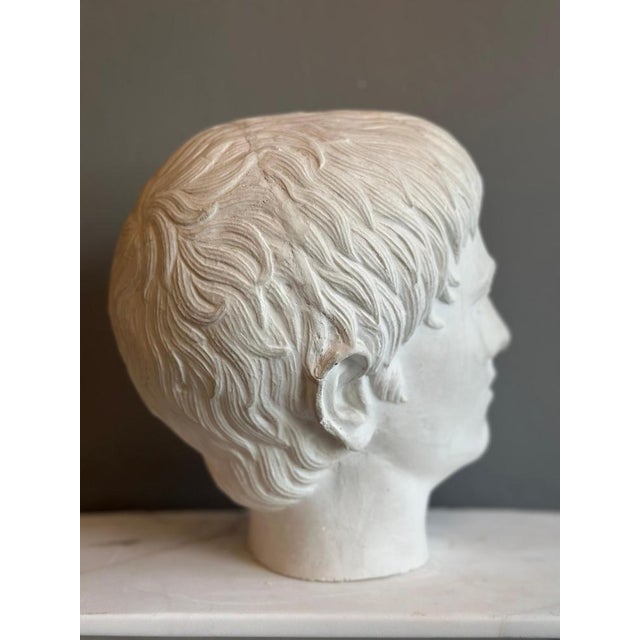 Young and Older Julius Caesar Plaster Heads, Set of 2 For Sale - Image 3 of 15